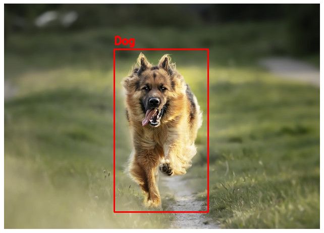 Image dog with bounding box.