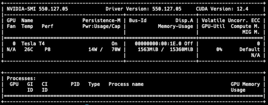 nvidia-smi output