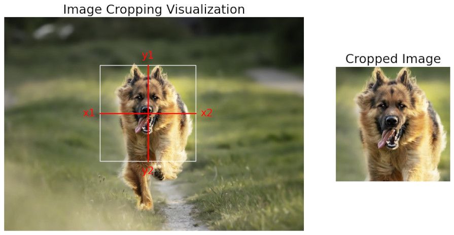 Cropping illustration using NumPy.